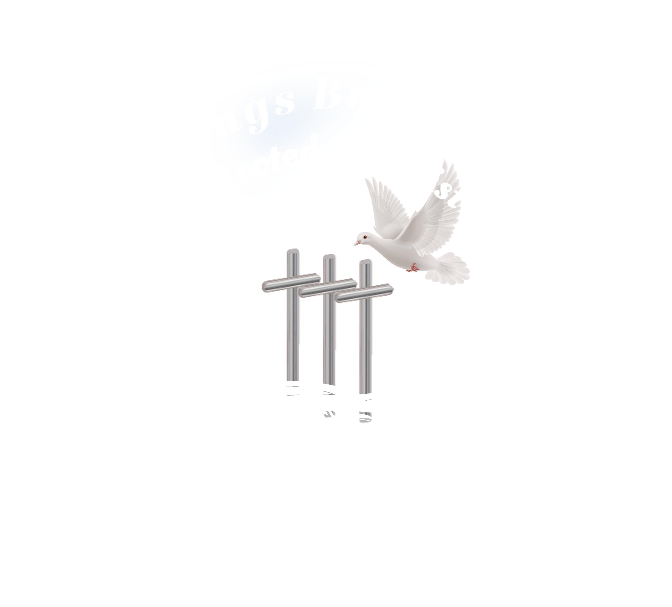 NBBTM Logo